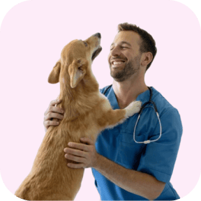 Veterinary