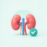 Netmeds | Creatinine Serum