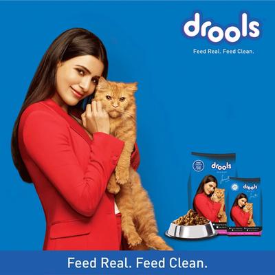 Drools Adult Dry Cat Food, Mackerel, 3 kg + 1.2 kg Free - SAM 4200 gm - Petfood
