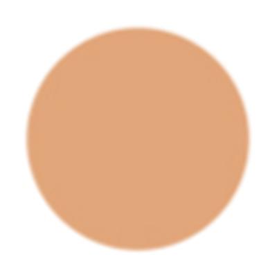 PAC HD Liquid Foundation Flawless Finish Buildable Coverge formula Lasts Upto 12 Hours Jdeal for Daily-Wear 2.1 30ml - Foundation