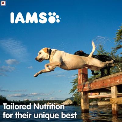 IAMS Proactive Health Adult Dog Food - Large Breed 8000 gm - Petfood
