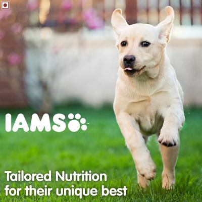 IAMS Proactive Health Smart Puppy Dog Food - Large Breed 3000 gm - Petfood