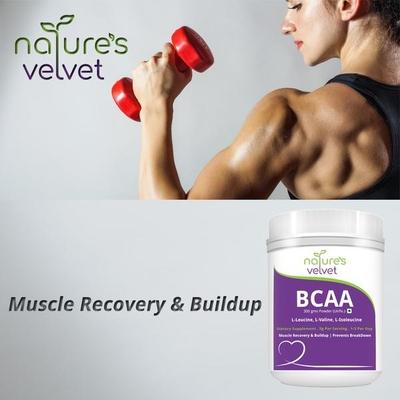 Natures Velvet Instantized BCAA 5000 mg Powder 300 gm - Bcaa Supplements