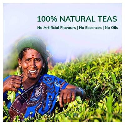 Teacurry Stinging Nettle Tea Bags - Himalayan Stinging Nettle 30's - Teas
