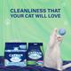 Catsan Clumping Cat Litter 5000 ml - Pet accessories