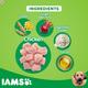 IAMS Proactive Health Adult Dog Food - Large Breed 8000 gm - Petfood