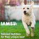 IAMS Proactive Health Smart Puppy Dog Food - Large Breed 3000 gm - Petfood