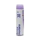 Boiron Arnica Montana 30C Single Dose PELLETS 1 GM - Triturations (Homeo Tablets)