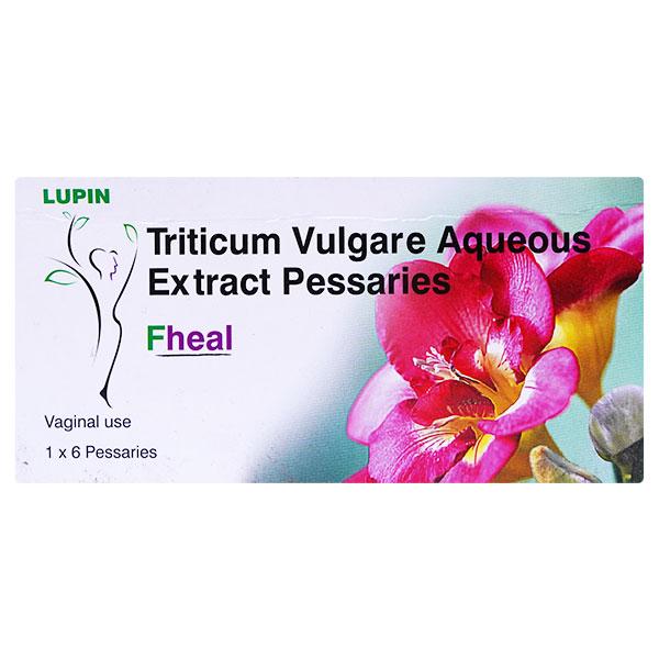 Netmeds | Fheal Vag Pessarie 6'S