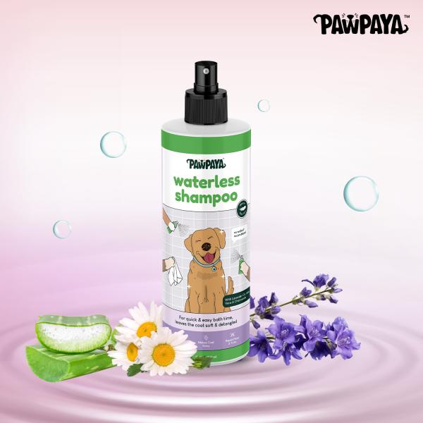 Netmeds | Pawpaya Waterless Shampoo New 250 ml