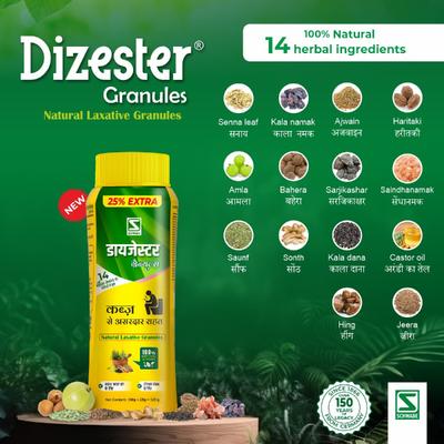 Dr. Willmar Schwabe Dizester Granules (100 g + 25 g) 125 g - Digestive Care
