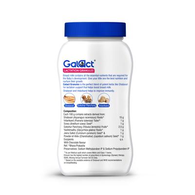 Galact Lactation Granules - Chocolate Flavor 400 g - Nutritional Supplements