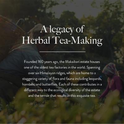 Wellbeing Nutrition Slim Adaptogenic Herbal Tea Bags 20's - Green/Herbal Teas