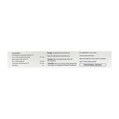 ORAFAST PLUS MOUTH Gel 15g - Anaesthesia - Local-Ana