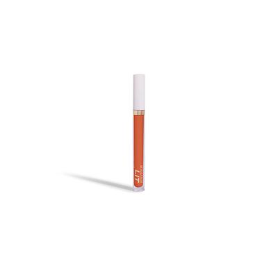 MyGlamm LIT Liquid Matte Lipstick-Perk Up 1 gm - Liquid Lipsticks