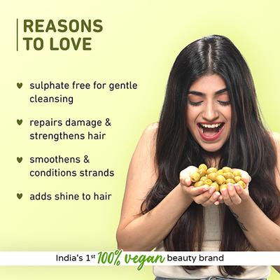 Plum Olive Plant Keratin Damage Repair Shampoo Gently Cleanses & Hydrates With Macadamia oil & Pro- Vitamin B5 250ml - Shampoos