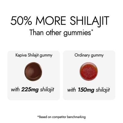 Kapiva Activ Foods Shilajit Energy Gummies - Ginger Honey 30's - Speciality Medicines