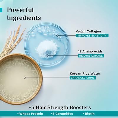Pilgrim Korean Rice Water & Collagen Advanced Damage Repair Hair Mask Prevents Breakage & Split Ends 200 gm - Hair Masks & Packs