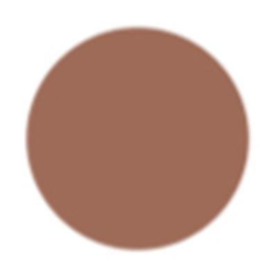 PAC Take Cover Concealer 18 Hot Cocoa 6.8 gm - Concealer
