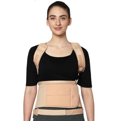 Flamingo Dorsolumbar Spinal Brace (Taylors Brace) (OC2034) (XXXL) 1's - Abdomen/Neck/Arm/Elbow Supports