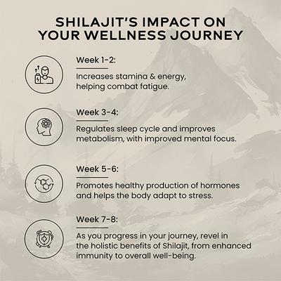Wellbeing Nutrition Pure & Original Himalayan Shilajit Resin 10 gm - Multi-Vitamins