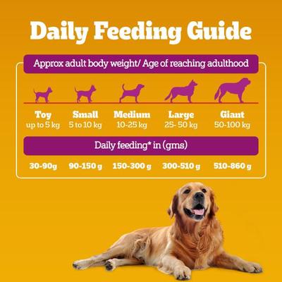 Pedigree Adult Chicken Biryani 1 kg - Pet Healthcare