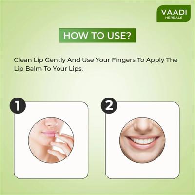 Vaadi Herbals Lip Balm - Mint 10 gm - Lip Balms