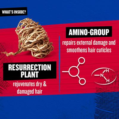 TIGI Bed Head Resurrection Super Repair Shampoo for Weak and Brittle Hair 600 ml - Shampoos