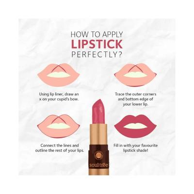 Soul Tree Ayurvedic Lipcare Colour Rich 810 with Organic Sweet Almond Oil, Essence Of Rose 4gm - Lipsticks