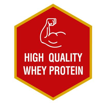 Maxvida High Protein Powder - Vanilla Flavour (Refill Pack) 500 g - Protein Drink