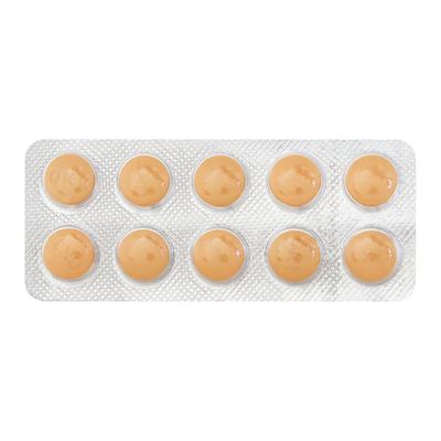Ginkocer Tablet 10'S - Supplements-Vam