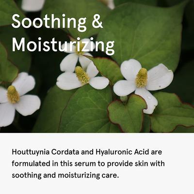 One Thing Houttuynia Cordata Serum 80 ml - Face Serum