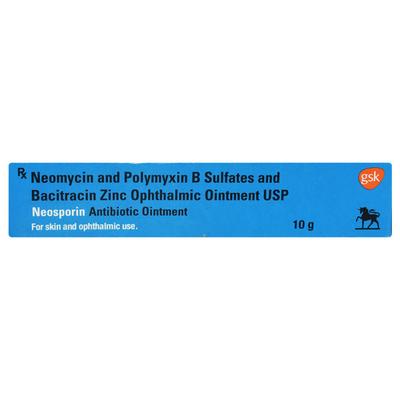 NEOSPORIN ANTIBIOTIC Ointment 10gm - Wound Care-Ski