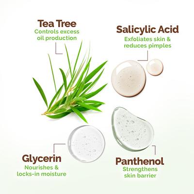 Mamaearth Tea Tree Oil Control Face Pack with Tea Tree & Salicylic Acid Normal to Oily Skin 200 gm - Face Packs