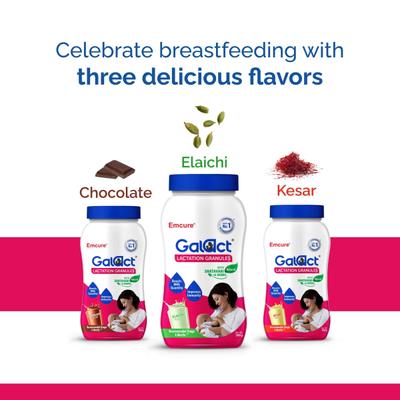 Galact Lactation Granules - Chocolate Flavor 400 g - Nutritional Supplements