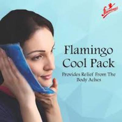 Flamingo Cool Ice Pack - (HC - 1004) Regular - Others Ortho Supports
