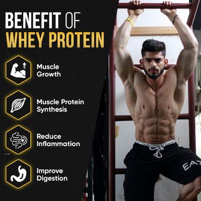 Fitspire Advanced Isolate Gold Whey Protein 1Kg 30 Servings Cookie and Cream 1's - Whey Proteins