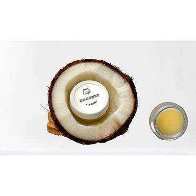 Bodycafe Coconut Lip Balm 10 gm - Lip Balms