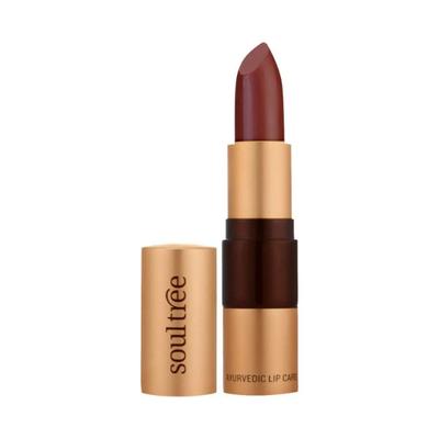 Soul Tree Ayurvedic Lipcare Colour Rich 810 with Organic Sweet Almond Oil, Essence Of Rose 4gm - Lipsticks
