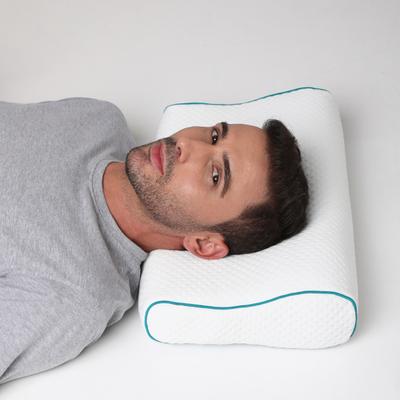 Flamingo Premium Memory Foam Pillow Aloevera (OC2411) (Uni) 1's - Others Ortho Supports
