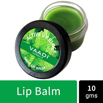 Lip Balm - Mint 10 gm - Lip Balms