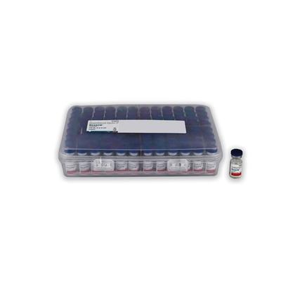 Dexacip 4mg Injection 2ml - Hormonal Therapy-Cor