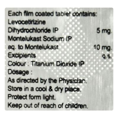 LEED M Tablet 10's - Allergies-Ant