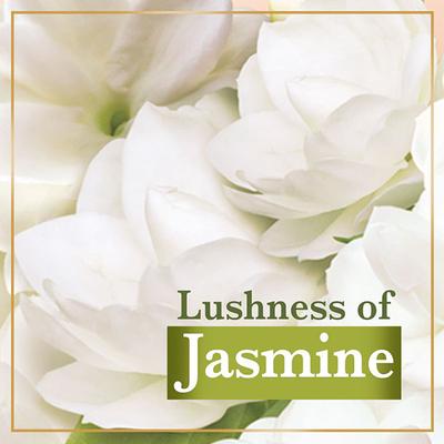 Lux Bright Glow Jasmine & Vitamin E For Glowing Skin Beauty Bar Mega Pack (Pack of 3) 300 gm - Soaps