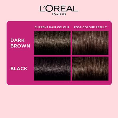 L'Oreal Paris Casting Creme Gloss Hair Color, 530 Praline Brown 159.5 Gm - Crème