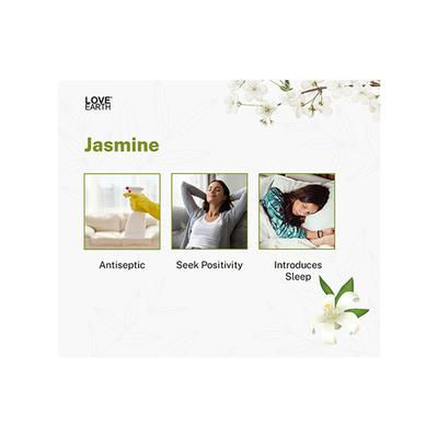 Love Earth Premium Reed Diffuser Jasmine Long Lasting Fragrance 30 ml - Diffuser