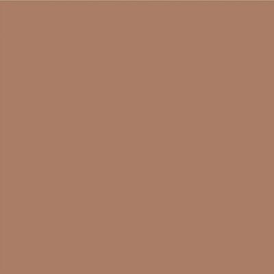 Pac Spotlight Bronzer (Centre Stage) 6.72 gm - Bronzers
