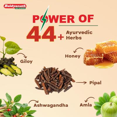 Baidyanath Chyawanprash Awleh 1 kg + 200 g Extra - Chyawanprash
