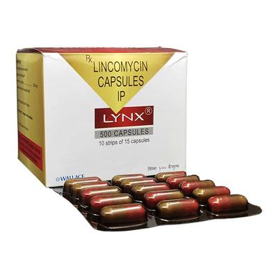 Lynx 500mg Capsule 15'S - Bacterial Infections-OAB