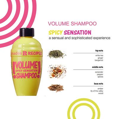 MADES Recipes Spicy Sensation Shampoo 100 ml - Shampoos